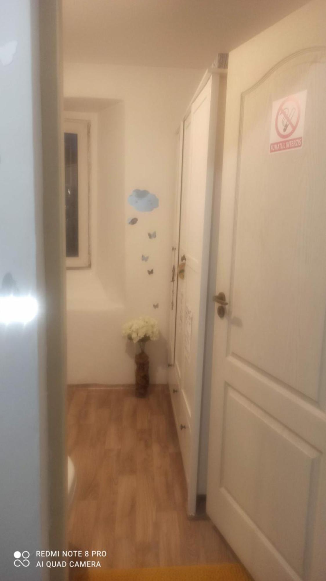 Studio Pe Somes Cluj Napoca Bagian luar foto